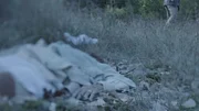Das Tatort