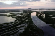 Das an der Grenze zwischen Brasilien, Bolivien und Paraguay liegende Pantanal ist das das größte Feuchtgebiet der Erde. Es beherbergt eine unglaubliche Vielfalt an Pflanzen und Tieren.