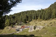 Aifneralm.