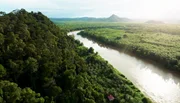 Ein tropischer Fluss schlängelt sich durch Malaysia.