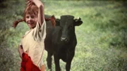 Mit einer Torero-Einlage gelingt es Pippi (Inger Nilsson), den Stier müde zu machen, bevor er dem kleinen Nisse etwas antun kann.
