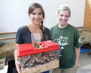 Biologin Lisa vom "Artenschutzprojekt Feldhamster" zeigt Anna ihre Schützlinge. Gemeinsam bereiten sie die Tiere für die Freilassung auf dem Feld vor. Biologin Lisa vom "Artenschutzprojekt Feldhamster" zeigt Anna ihre Schützlinge. Gemeinsam bereiten sie die Tiere für die Freilassung auf dem Feld vor.