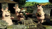 Auf die Plätze, fertig, Treffen! Die Schweine verdecken mit ihrem Matsch den ganzen Hof. Was wird der Farmer sagen?