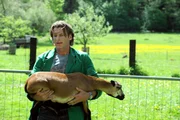 Sebastian (Herbert Ulrich) kümmert sich um die neuen Schafe von Bürgermeister Schattenhofer.