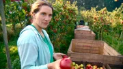 Über diese Gäste freut sich Obstbäuerin Doris Schuster besonders: Marienkäfer schützen ihre Äpfel vor Läusen.
