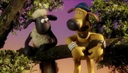 Shaun und Bitzer besprechen einen Plan, wie sie sich die Kokosnuss öffnen können.