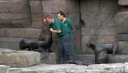 ARD/NDR LEOPARD, SEEBÄR & CO., FOLGE 143, am Dienstag um 16:10 Uhr im ERSTEN. Dirk Stutzki und Alexandra Eisel bei der Zahnkontrolle der Seebären.