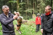 SRF bi de Lüt - Abenteuer Wildnis Staffel 3 / Folge 2 sie haben bis jetzt in ihrem Camp noch kein Feuer hingekriegt.