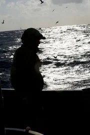 The sun reflects off of the Bering Sea, showing the outline of Saga Deck Boss, Sean Dunlop.