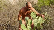 Ed Stafford.Ed picking prickly pear fruit