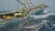 The Cornelia Marie Crew sorting in icy, stormy conditions.