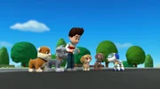 v.li.: Rubble, Rocky, Ryder, Skye, Zuma, Robo-Dog