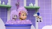 v.li.: Cali, Katie, Robo-Dog