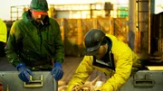 Southern Wind Deckhand Tall Guy and Engineer Munsey sort a large opies catch on the table.