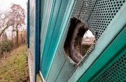 Es ist einer der größten Fälle der Brandenburger Polizei nach der Wiedervereinigung: Genau vor 25 Jahren wurde Matthias H. entführt und dann in einem Erdverlies versteckt, in das ihn die Erpresser gezwungen hatten. Sie forderten Geld, doch mehrere Übergabeversuche scheiterten. Als sie gefasst werden konnten, war es zu spät: Matthias H. war qualvoll erstickt. - An dieser Öffnung in einer Schallschutzwand an der Autobahn in Brandenburg missglückte eine Lösegeldübergabe.