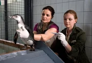 Susanne (Elisabeth Lanz, links) und Anett (Anna Bertheau) machen sich Sorgen. Dem Pinguinmännchen geht's noch nicht besser.