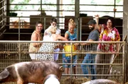 V.l.n.r.: Anna Lippner, Simone Gutting, Elise Paluch (mit Rücken zur Kamera), Daniela Bischoff, Steve Brück und Manuela Holtmann füttern die Schweine mit Äpfeln