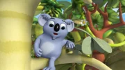 Wissper - Kylie will nicht essen - Der Koala Kaspar braucht wieder einmal Hilfe von Wissper und Peggy wegen seiner kleinen Nichte Kylie. Die weigert sich seltsamerweise, Eukalyptusblätter zu essen, obwohl diese so gesund sind. Wissper ruft das kleine Schweinchen herbei, denn dieses isst so ziemlich alles. Vielleicht hilft das Kylie, auf den Geschmack von Eukalyptusblättern zu kommen?
