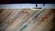 In Finsterwalde wollen zwei junge Männer ihren Vater nur kurz besuchen - doch sie machen eine grausige Entdeckung: Der Vater wurde umgebracht. Kurz danach wird am Berliner Gleisdreieck ein Drogendealer erstochen. Nichts führt anfangs beide Fälle zusammen. Als dann in Berlin ein Ladendieb festgenommen wird, ändert das alles. - Spurensicherung: Blutiger Schuhabdruck - stammt er vom Täter?