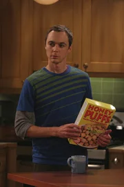 Penny erwartet eine Möbellieferung, kann allerdings zum angegebenen Lieferzeitpunkt nicht Zuhause sein, und so bittet sie Leonard und Sheldon (Jim Parsons) um Hilfe. Kaum mit dem Regal in ihrem Apartment angekommen, überkommt Sheldon die Putzwut, denn Pennys Wohnung ist ein einziger Saustall ...