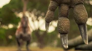 Das Kem Kem Gebirge gilt unter Forschern als der gefährlichste Lebensraum aller Zeiten. Kämpfe unter Großsauriern waren an der Tagesordnung.