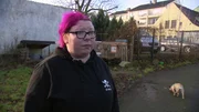 Lausi und Paddy müssen sich um Kumpel Asterix kümmern, nachdem dieser angegriffen und schwer verletzt wird. Eigentlich hatten sie andere Pläne?; Lausi und Paddy müssen sich um Kumpel Asterix kümmern, nachdem dieser angegriffen und schwer verletzt wird. Eigentlich hatten sie andere Pläne…