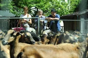 Xaver, Schattenhofer und Trixi sorgen sich um die erkrankten Schafe. Von links: Trixi Preissinger (Doreen Dietel), Xaver (Michael Schreiner) und Lorenz Schattenhofer (Werner Rom).