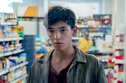 Mario (Mario Montescu) ist auf der Flucht. Sein Ziel: seine Schwester finden.