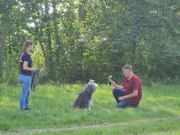 Dieter mit Bearded Colliehündin Elli und Trainerin Sophie.