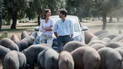 Ein Sommer in Salamanca Zu Besuch bei den Pata-Negra-Schweinen: Susan Hoecke als Rike, Fernando Corral als Carlos