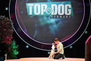 Torsten Bauer mit seinem Podenco-Mix Luke in Runde 1.
