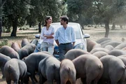 Carlos (Fernando Corral) zeigt Rike (Susan Hoecke) die Iberischen Schweinezucht für den berühmten Pata Nero.