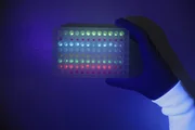 Synthetisch hergestellte fluoreszierende Aminosäuren können helfen, Erreger im Körper binnen Sekunden zu identifizieren.