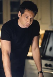 Agents Mulder (David Duchovny)