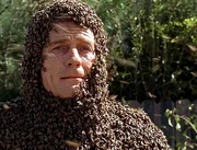 Hal (Bryan Cranston) wurde von seiner eigenen "Bienen-Kanone" beschossen.