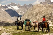 Mit 4 Pferdestärken in die Berge und immer auf der Suche nach frischem pflanzlichen Treibstoff.