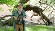 Roland Neuwirth von Extremschrammeln sucht im Park vergeblich nach der großen Freiheit.