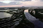 Das an der Grenze zwischen Brasilien, Bolivien und Paraguay liegende Pantanal ist das größte Feuchtgebiet der Erde. Es beherbergt eine unglaubliche Vielfalt an Pflanzen und Tieren.
