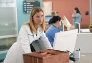 Emily VanCamp (Nicolette Nevin).