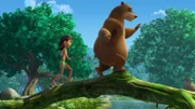 Balu findet es gar nicht lustig, dass sich Mogli über seine mäßige Fitness amüsiert. Um zu beweisen, dass er sehr wohl fit ist, fordert er Mogli zu einem Wettkampf heraus.
