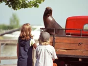 Moritz (Karl-Alexander Seidel) und Nele (Anja Stührk) schließen Robbe William sofort in ihr Herz. Moritz (Karl-Alexander Seidel) und Nele (Anja Stührk) schließen Robbe William sofort in ihr Herz.