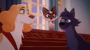Ariane, die Katze, hat das Tuch vom Billardtisch des Königs zerrissen! Belfort und Lupin müssen den Schaden verbergen, bevor die Spielnacht beginnt.
