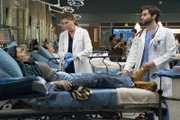 Noelle; Dr. Meredith Grey; Dr. Levi Schmitt