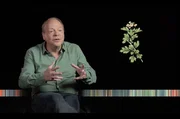 Historiker Patrick Boucheron erklärt, dass über die Bezeichnung und Bedeutung des 1. Mai gestritten wird.
