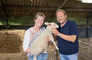 Von Lemmer aus macht sich Björn Freitag (r) auf den Weg zu Hermien Langelaan (l), die in Blesdijke eine Käserei betreibt. Neben Schafen hält sie auf ihrem Biohof eine regionale Rinder-Rasse mit besonderer Fellzeichnung.