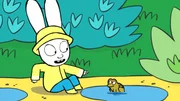 Beim Spaziergang entdeckt Simon einen Frosch, der in einer Pfütze fröhlich vor sich hin quakt.