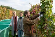 Ein außergewöhnlicher Fall: Winzermeister Henry Engler (Matthias Ziesing, r.) wird verdächtigt, seine Schwägerin erschlagen zu haben. Ob er der Täter ist, weiß er selbst nicht – er kann sich an nichts erinnern. Seit einem Skiunfall leidet er an anterograder Amnesie, neue Erinnerungen kann er lediglich für 5 Stunden abspeichern. Marie Holler (Marie Rönnebeck, M.), die Schwester des Opfers und Henrys Frau informiert Kriminalkommissarin Martina Seiffert (Astrid M. Fünderich, l.) über den Zustand ihres Mannes.