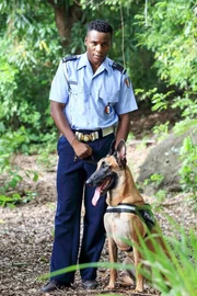 J.P (TOBI BAKARE), Pico.
