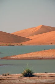 Das Sultanat Oman, Heimat einiger der seltensten Tiere der Erde, ist ein Land von überraschender Schönheit und unerwarteter Naturwunder.