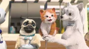 Mike möchte eine Tonskulptur von Stella machen. Er bestellt einen Roboter, der währenddessen Fluffy beschäftigen soll.
